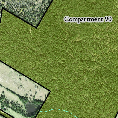 Individal Compartment Map of the Davy Crockett National Forest v110 Preview 2