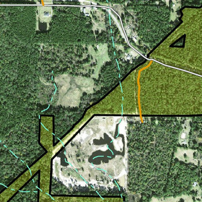 Individal Compartment Map of the Davy Crockett National Forest v110 Preview 3