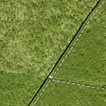 Individal Compartment Map of the Davy Crockett National Forest v100 Preview 2