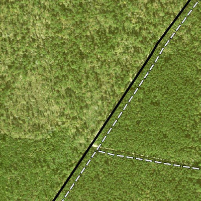 Individal Compartment Map of the Davy Crockett National Forest v100 Preview 2