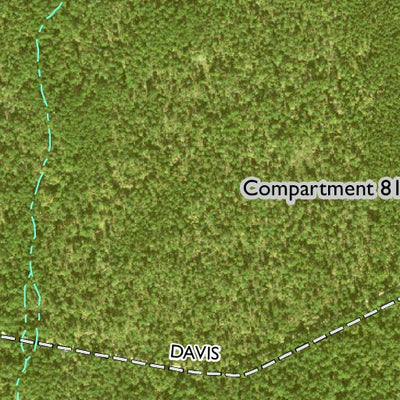 Individal Compartment Map of the Davy Crockett National Forest v100 Preview 3