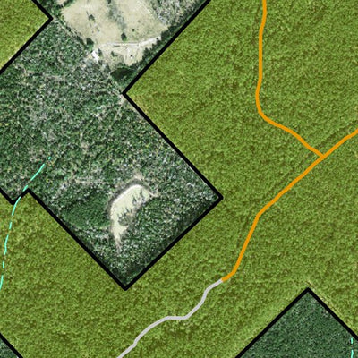 Individal Compartment Map of the Davy Crockett National Forest v114 Preview 3