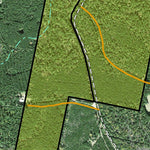 Individal Compartment Map of the Davy Crockett National Forest v103 Preview 3