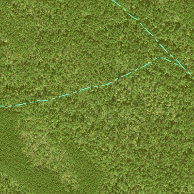 Individal Compartment Map of the Davy Crockett National Forest v107 Preview 2