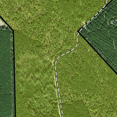 Individal Compartment Map of the Davy Crockett National Forest v107 Preview 3