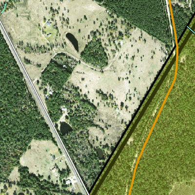 Individal Compartment Map of the Davy Crockett National Forest v108 Preview 3