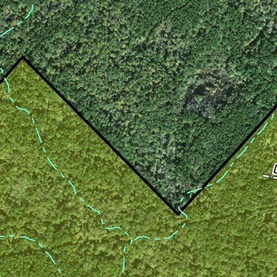 Individal Compartment Map of the Davy Crockett National Forest v112 Preview 3