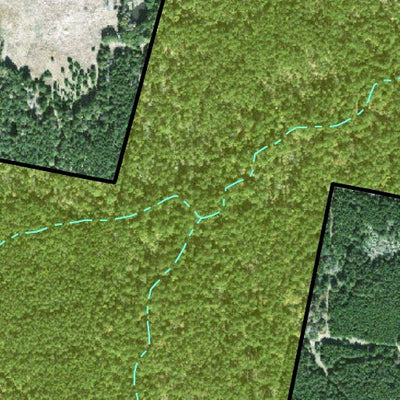 Individal Compartment Map of the Davy Crockett National Forest v96 Preview 3