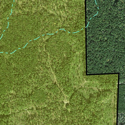 Individal Compartment Map of the Davy Crockett National Forest v101 Preview 3