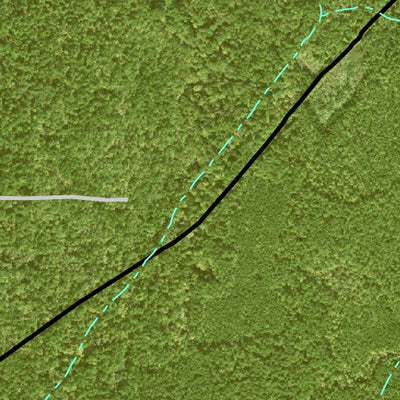 Individal Compartment Map of the Davy Crockett National Forest v113 Preview 2