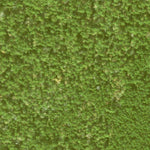 Individal Compartment Map of the Davy Crockett National Forest v115 Preview 2