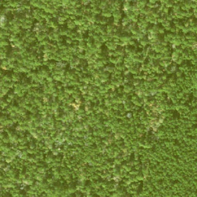 Individal Compartment Map of the Davy Crockett National Forest v115 Preview 2