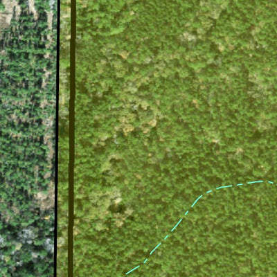 Individal Compartment Map of the Davy Crockett National Forest v115 Preview 3