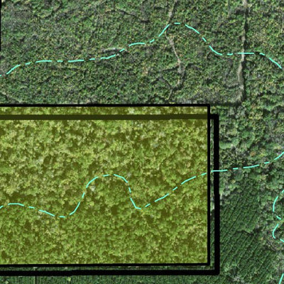 Individal Compartment Map of the Davy Crockett National Forest v118 Preview 2