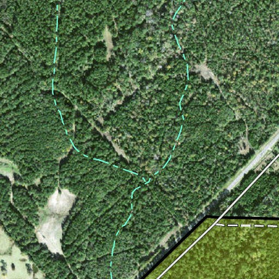 Individal Compartment Map of the Davy Crockett National Forest v118 Preview 3