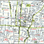 Celaya - Centro Preview 1