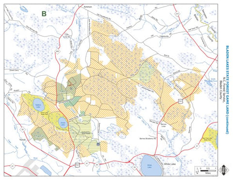 Bladen Lakes State Forest Game Land B Preview 1