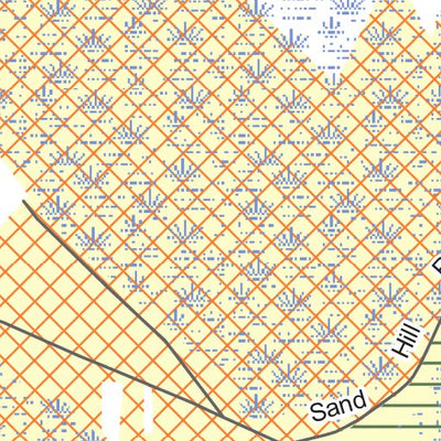 Bladen Lakes State Forest Game Land B Preview 3