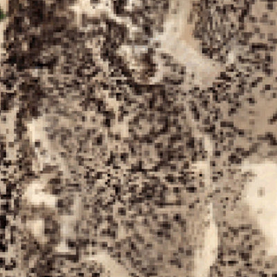 Edwards AFB Hunting Area 3 Preview 3