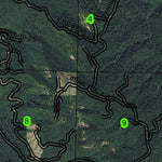 Coos Mountain T26S R10W Township Map Preview 3