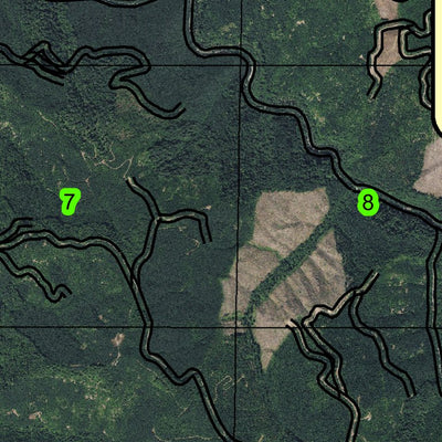 Allegany T25S R11W Township Map Preview 3