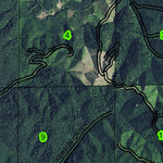 Big Tom Folley T21S R6W Township Map Preview 3