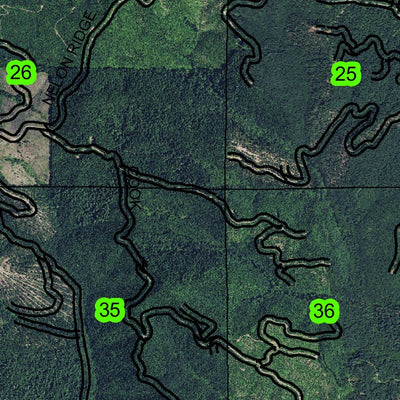 Triangle Lake T16S R7W Township Map Preview 3