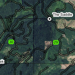 Alpine T14S R6W Township Map Preview 3