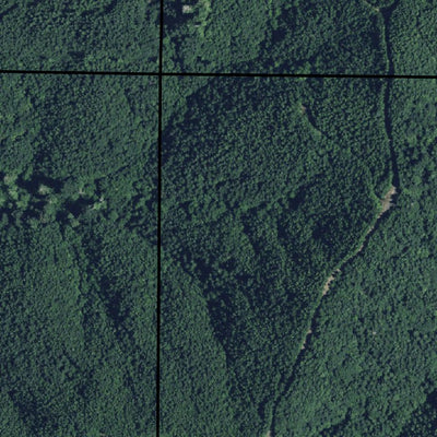 Eel Lake, OR Preview 3