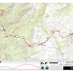 CDT Map Set Version 3.0 - Map 117 - New Mexico Preview 1