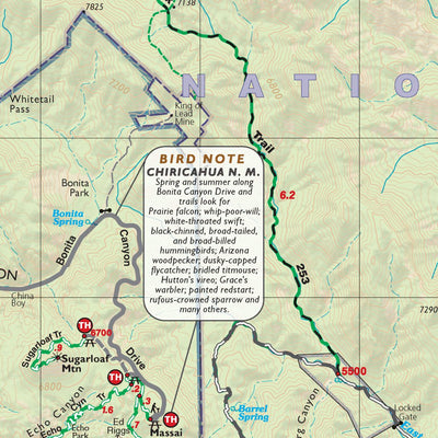 2934S:a Chiricahua Mountains, AZ Preview 2