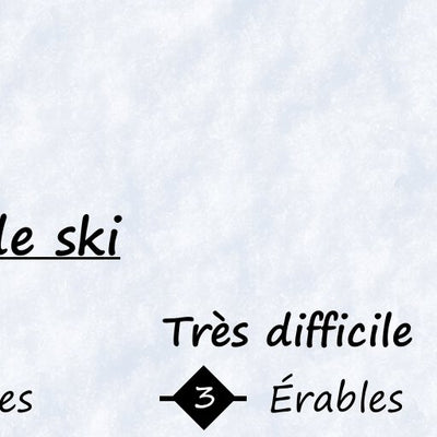 Le Norvégien - Guide des pistes (ski et raquette) Preview 3
