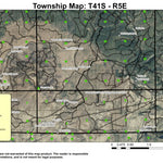 Dixie Springs T41S R4E Township Map Preview 1