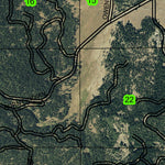 Lily Glen T38S R3E Township Map Preview 2