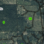 Surveyor Peak T38S R5E Township Map Preview 3