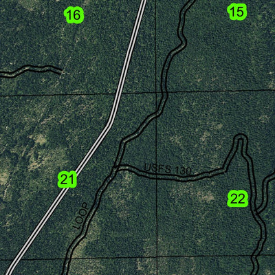 Natural BridgeT31S R3E Township Map Preview 2
