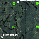 Billick Burn Trail T30S R1E Township Map Preview 2