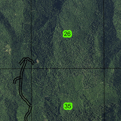 Billick Burn Trail T30S R1E Township Map Preview 3