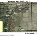 Fly Lake T12S R11E Township Map Preview 1