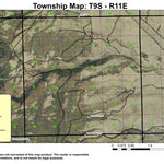Seymore Springs T9S R11E Township Map Preview 1