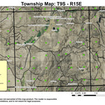 Willowdale T9S R15E Township Map Preview 1