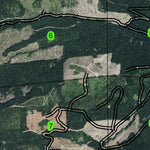 Dee Flats T1N R9E Township Map Preview 3