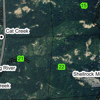 Shellrock Mountain T1S R10E Township Map Preview 2