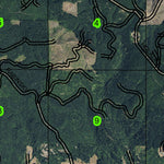 Dixie Mountain T3N R2W Township Map Preview 3