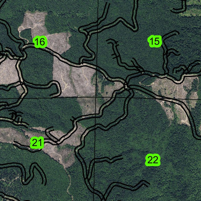 Cougar Mountain T4N R8W Township Map Preview 2