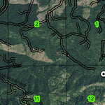Cougar Mountain T4N R8W Township Map Preview 3