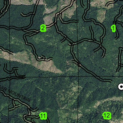 Cougar Mountain T4N R8W Township Map Preview 3