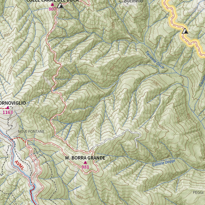 4LAND 203W Sud-Ovest - Appennino Ligure e Tosco-Emiliano (foglio sud) Preview 2