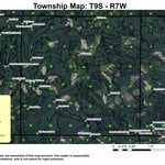 Bald Mountain T9N R7W Township Map Preview 1