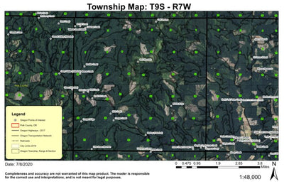 Bald Mountain T9N R7W Township Map Preview 1